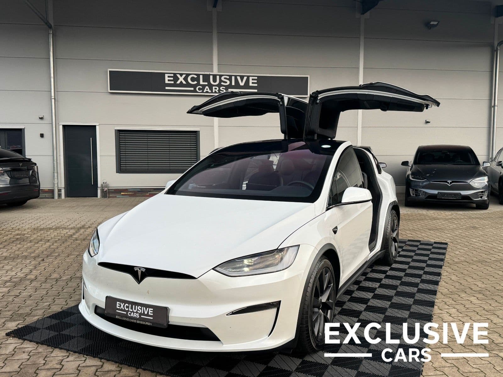 TESLA Model X - Bild 1