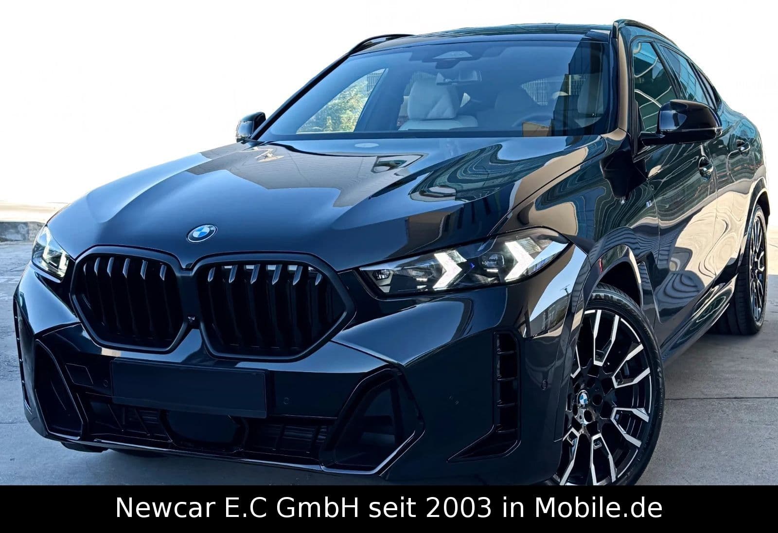 BMW X6 - Bild 1