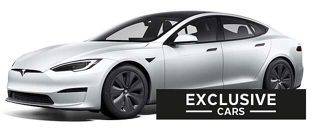 Tesla MODEL S PALLADIUM MAXIMAL RANGE | PEARL | WOOD |