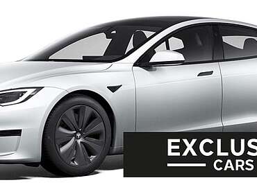 Tesla Model S MODEL S PALLADIUM MAXIMAL RANGE | PEARL | WOOD |