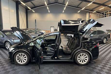 Tesla Model X MODEL X LONG RANGE RAVEN | AP3.0 | ASH WOOD |