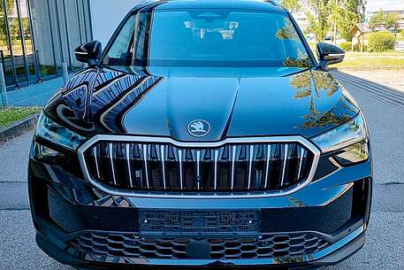 Skoda Kodiaq Kodiaq 1.5 TSI DSG iV Plug-in-Hybrid 26 kW*VOLL*