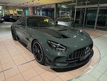 Mercedes-Benz AMG GT AMG GT Black Series &quot;Track Package&quot;