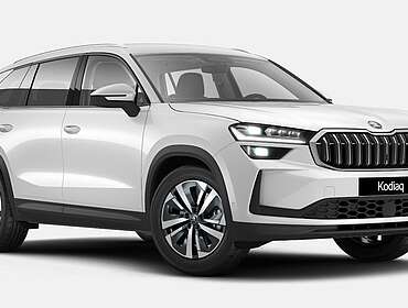 Skoda Kodiaq Kodiaq 1.5 TSI DSG iV Plug-in-Hybrid 26 kW*VOLL*