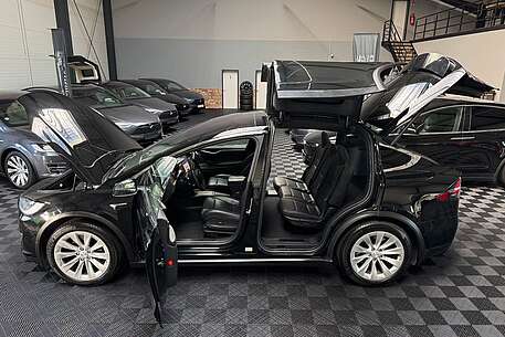 Tesla Model X MODEL X RAVEN STANDARD RANGE | COLDWEATHER | CCS