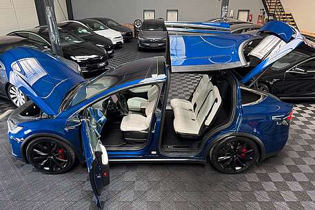 Tesla Model X MODEL X RAVEN PERFORMANCE | FULL SELF DRIVE |