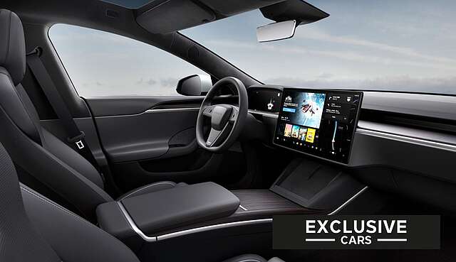 Tesla MODEL S PALLADIUM MAXIMAL RANGE | PEARL | WOOD |