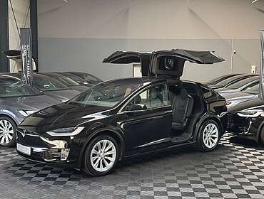 Tesla Model X MODEL X RAVEN STANDARD RANGE | COLDWEATHER | CCS