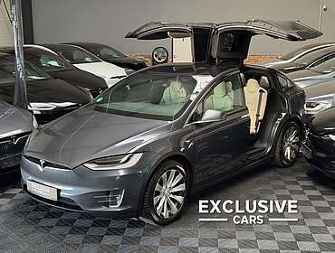 Tesla Model X MODEL X RAVEN PERFORMANCE | 7 SEATER | OAK DECOR