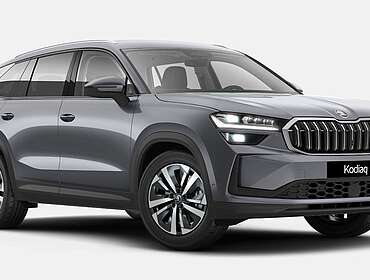 Skoda Kodiaq Kodiaq 1.5 TSI DSG iV Plug-in-Hybrid 26 kW*VOLL*