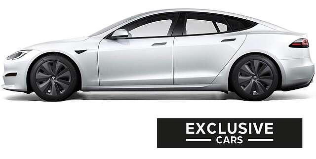 Tesla MODEL S PALLADIUM MAXIMAL RANGE | PEARL | WOOD |