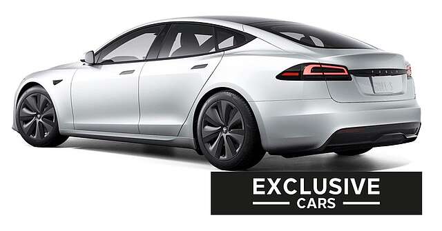 Tesla MODEL S PALLADIUM MAXIMAL RANGE | PEARL | WOOD |