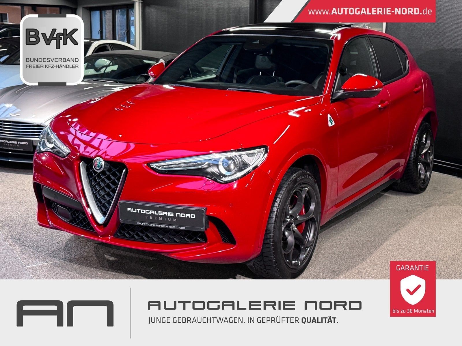 Alfa Romeo Stelvio Stelvio Quadrifoglio Q4 Pano+Harman/K+ACC+Carbon