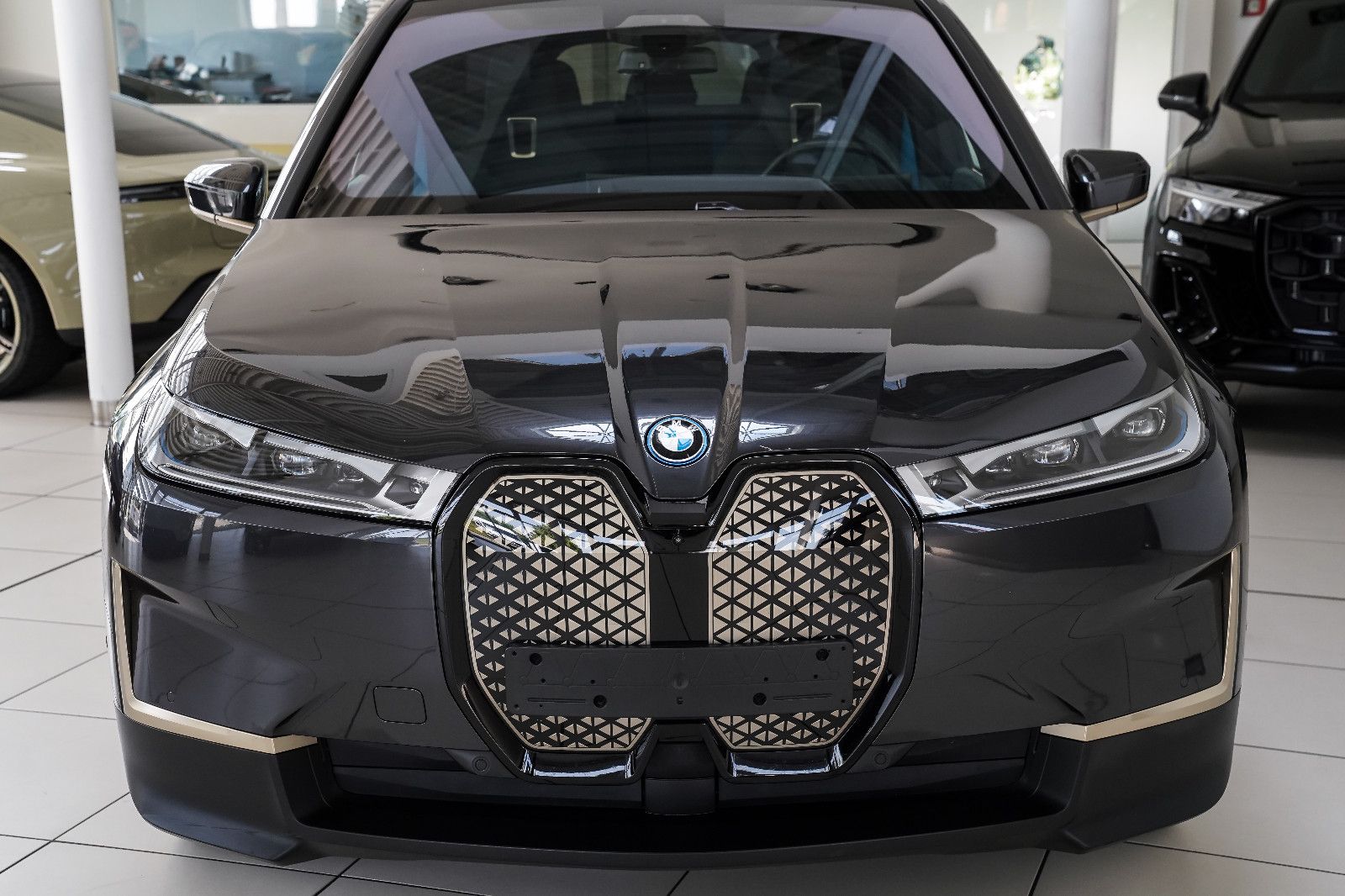 BMW iX iX Pano Sky M Soport Laser B&amp;W AHK Driv Prof