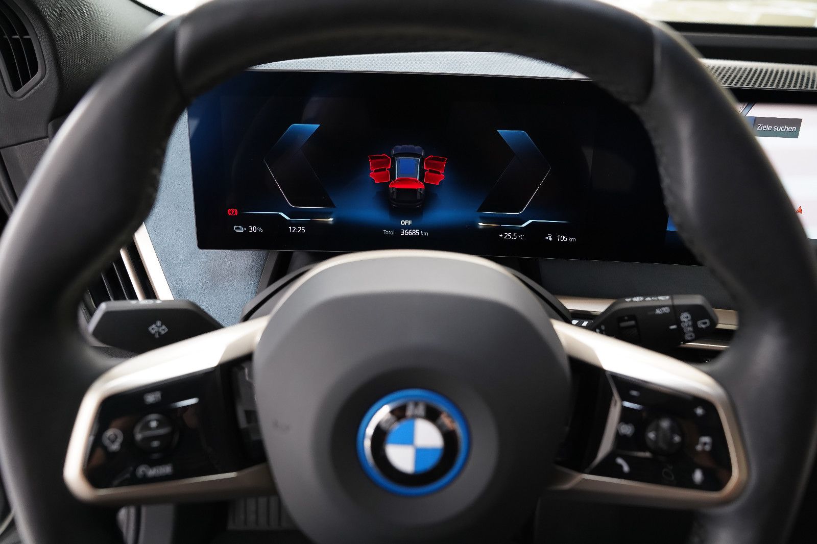 BMW iX iX Pano Sky M Soport Laser B&amp;W AHK Driv Prof