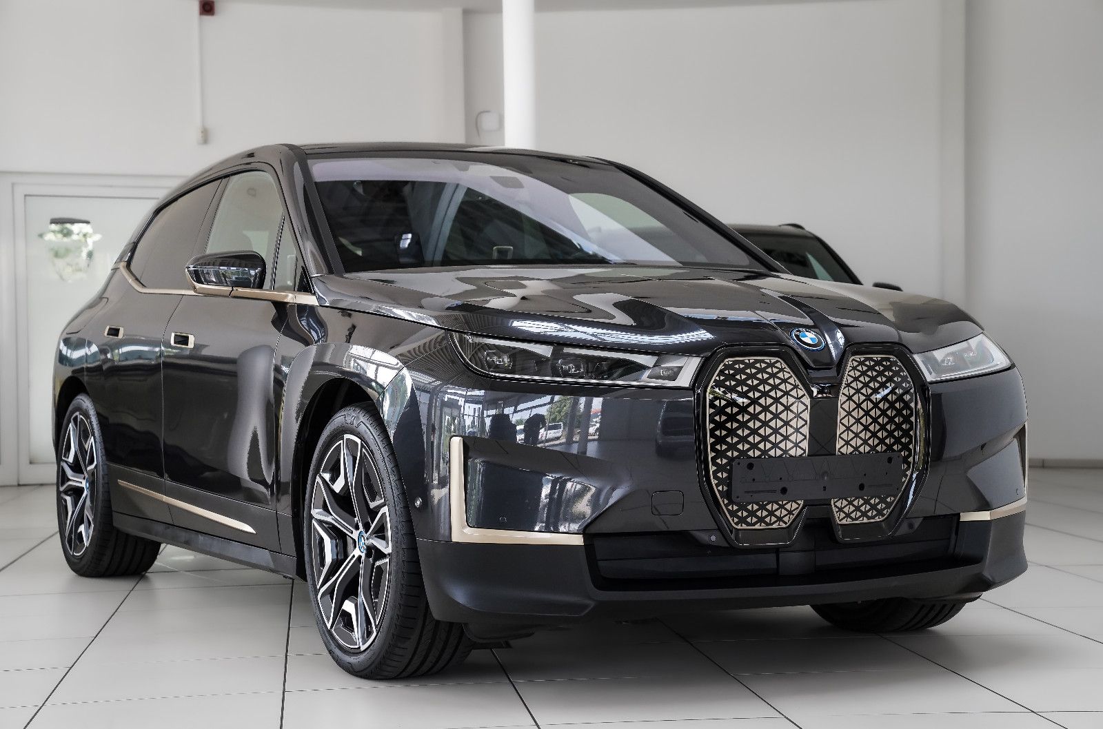 BMW iX iX Pano Sky M Soport Laser B&amp;W AHK Driv Prof