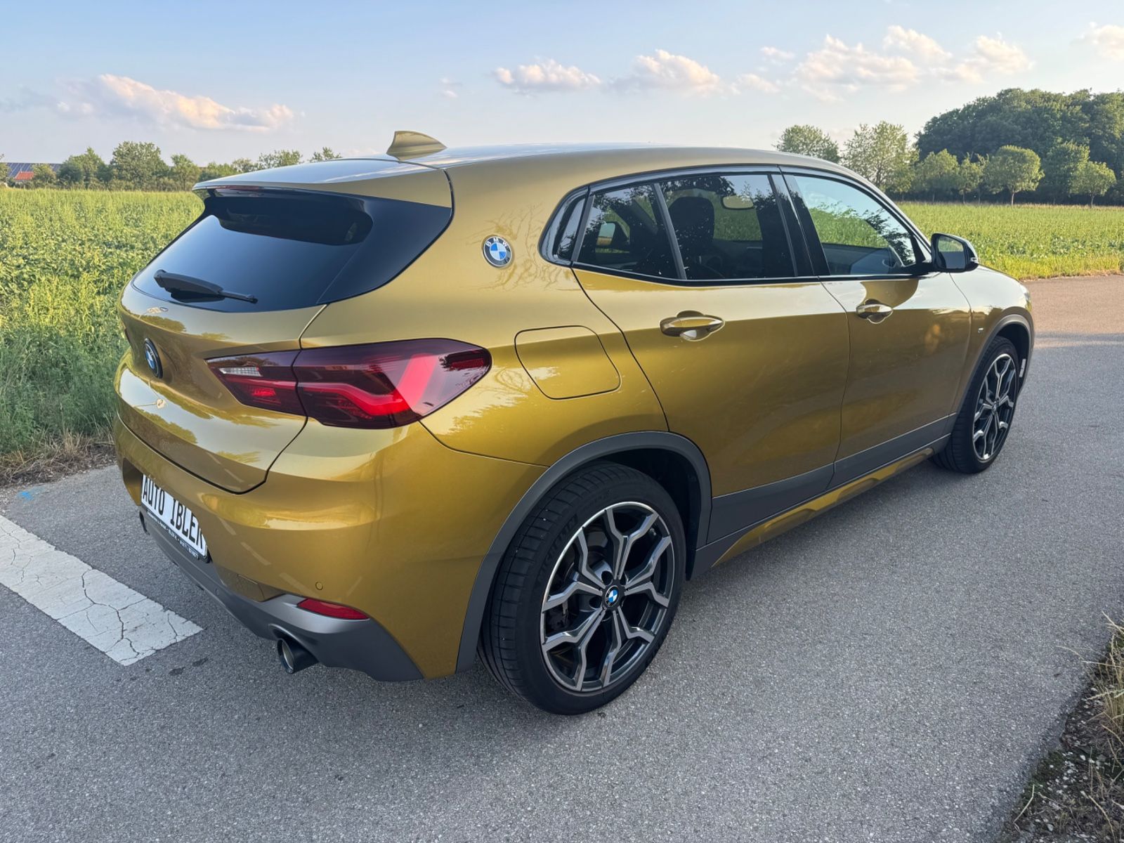BMW X2 X2 xDrive 20 i M Sport X,DAB,NaviPof,Sportsitze