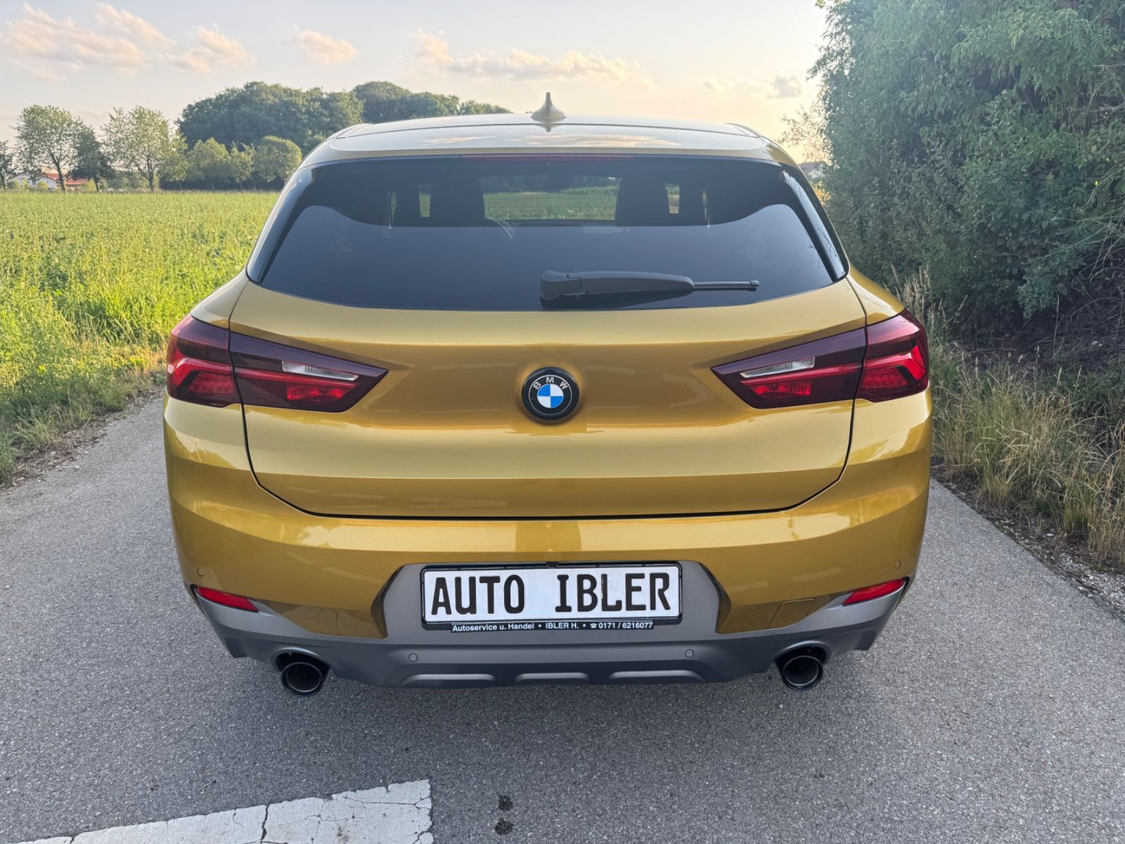 BMW X2 X2 xDrive 20 i M Sport X,DAB,NaviPof,Sportsitze