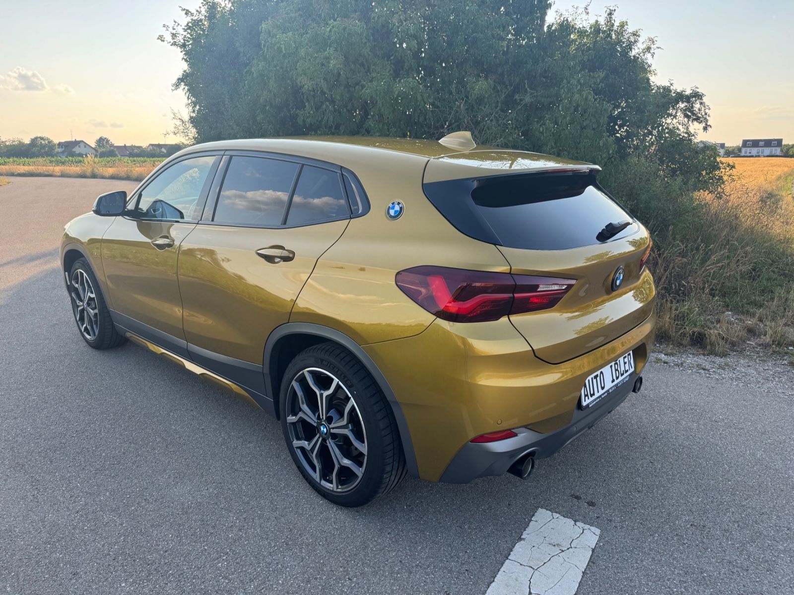 BMW X2 X2 xDrive 20 i M Sport X,DAB,NaviPof,Sportsitze