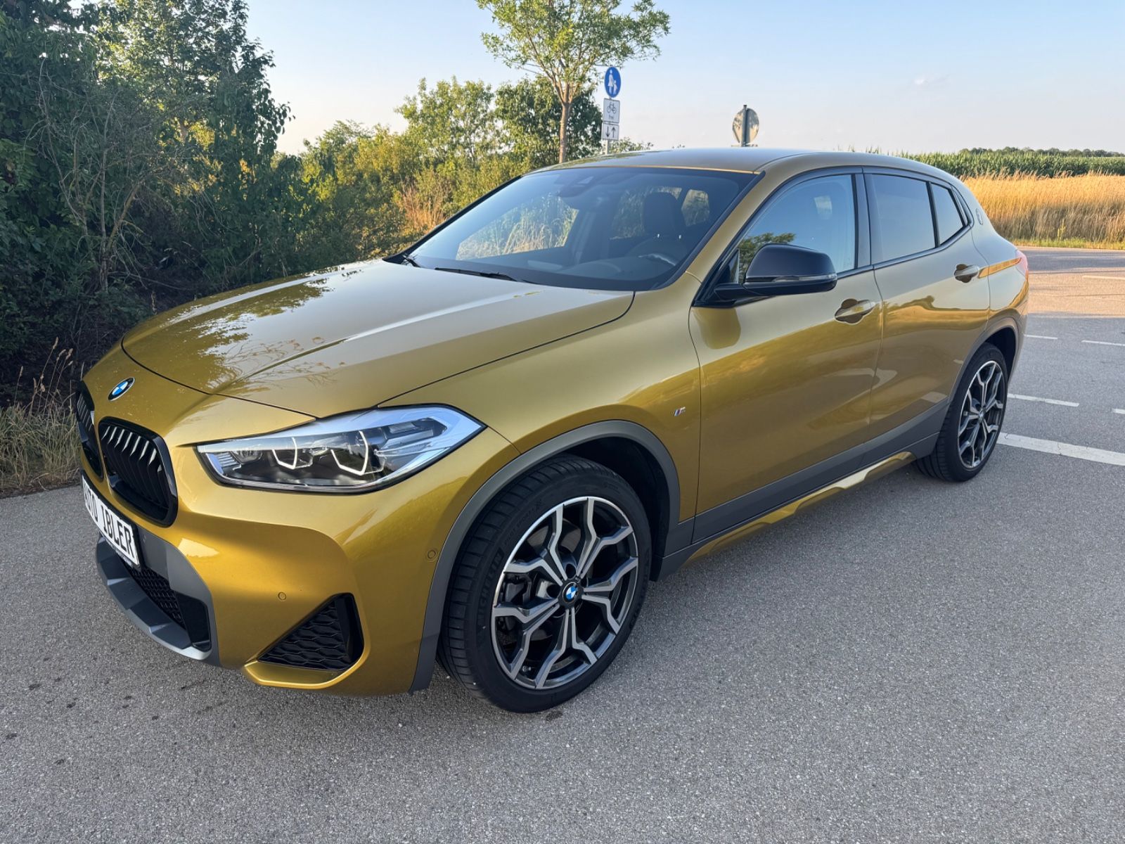 BMW X2 X2 xDrive 20 i M Sport X,DAB,NaviPof,Sportsitze