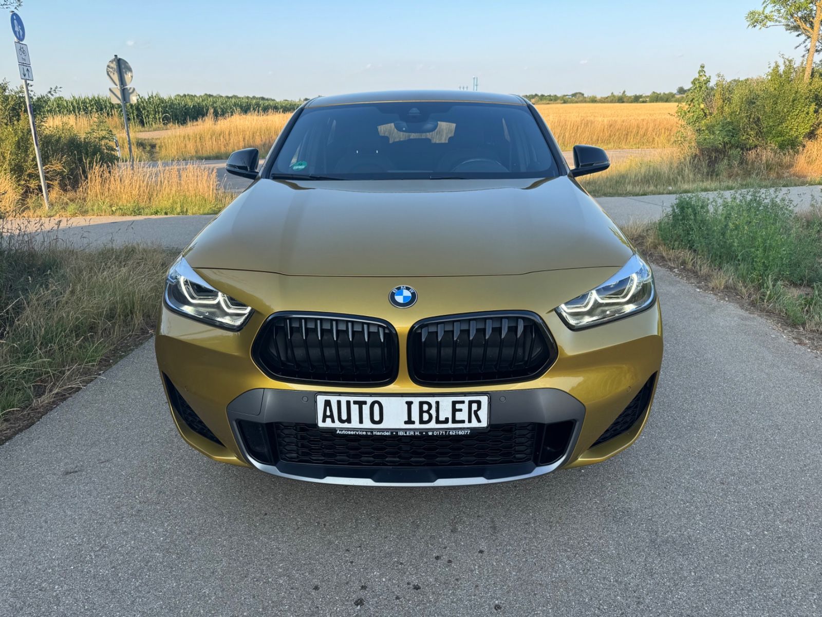 BMW X2 X2 xDrive 20 i M Sport X,DAB,NaviPof,Sportsitze