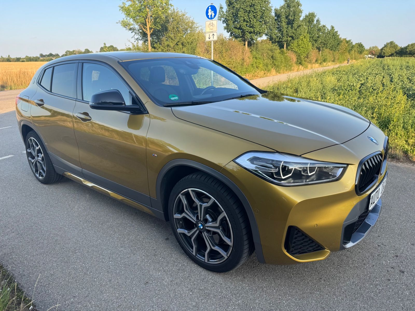 BMW X2 X2 xDrive 20 i M Sport X,DAB,NaviPof,Sportsitze