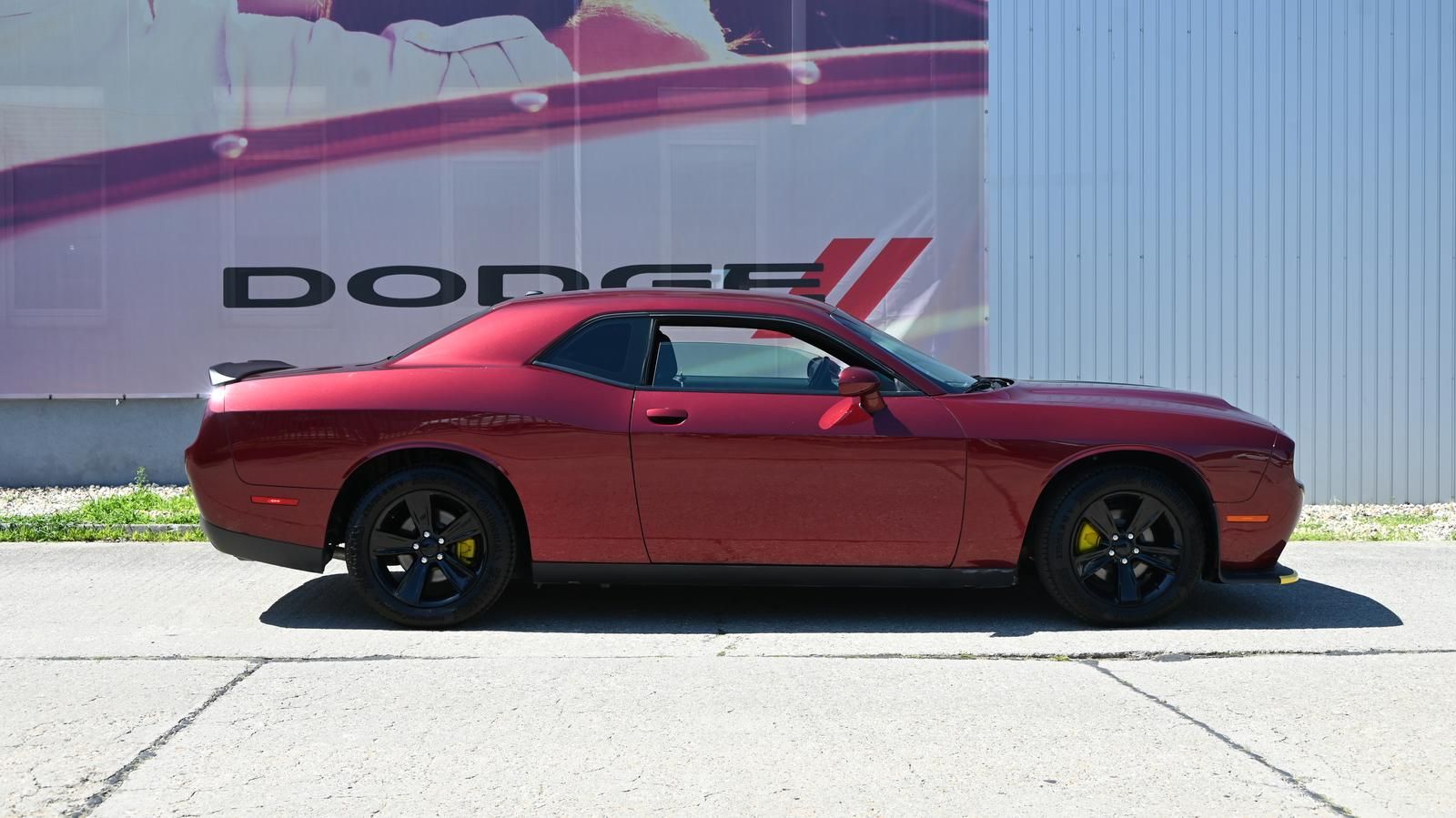 Dodge Challenger Challenger 3,6l SXT,Carplay,Rückfahrkamera
