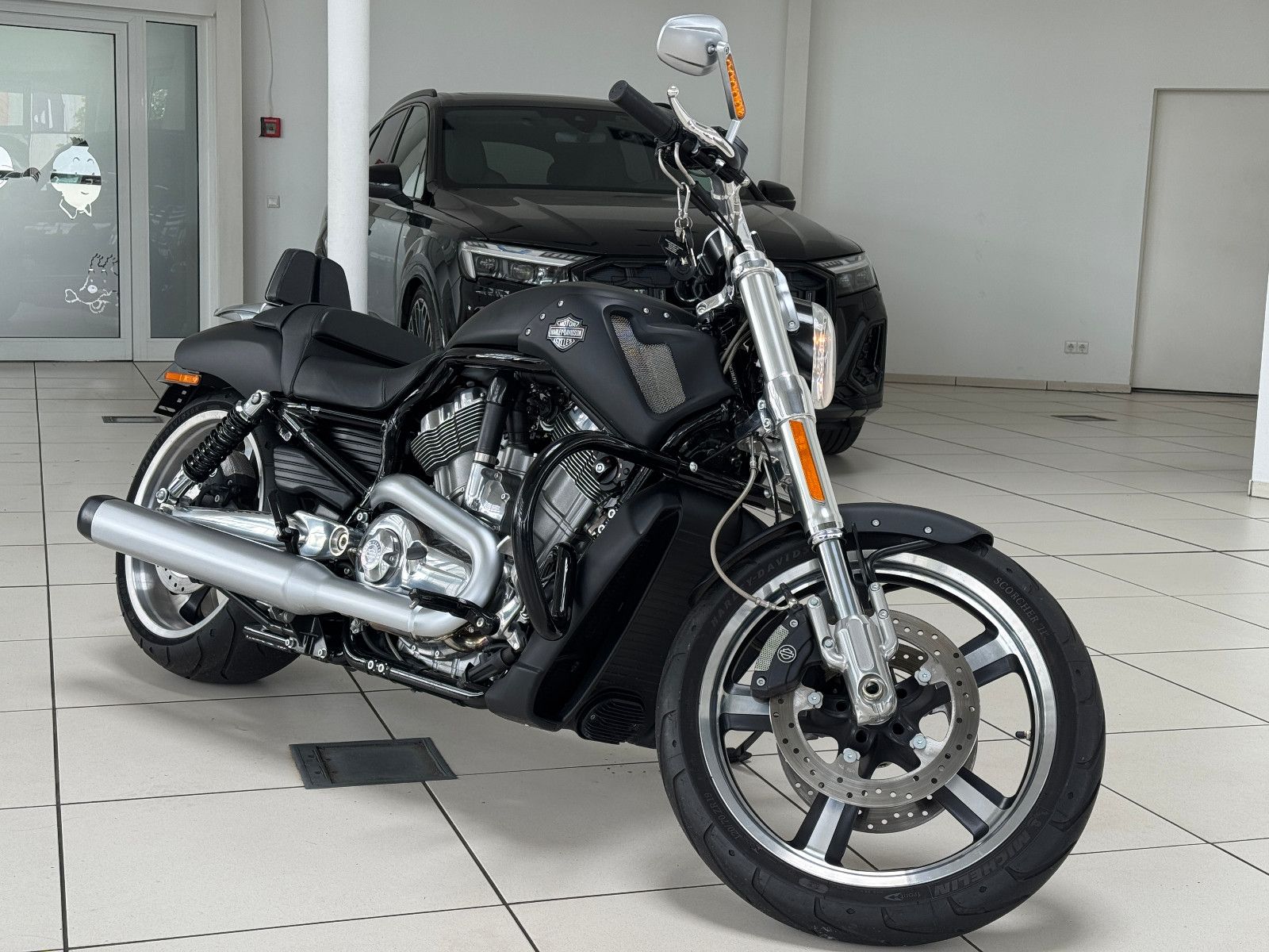 Harley-Davidson V-Rod Muscle VRSCF. * PORSCHE *