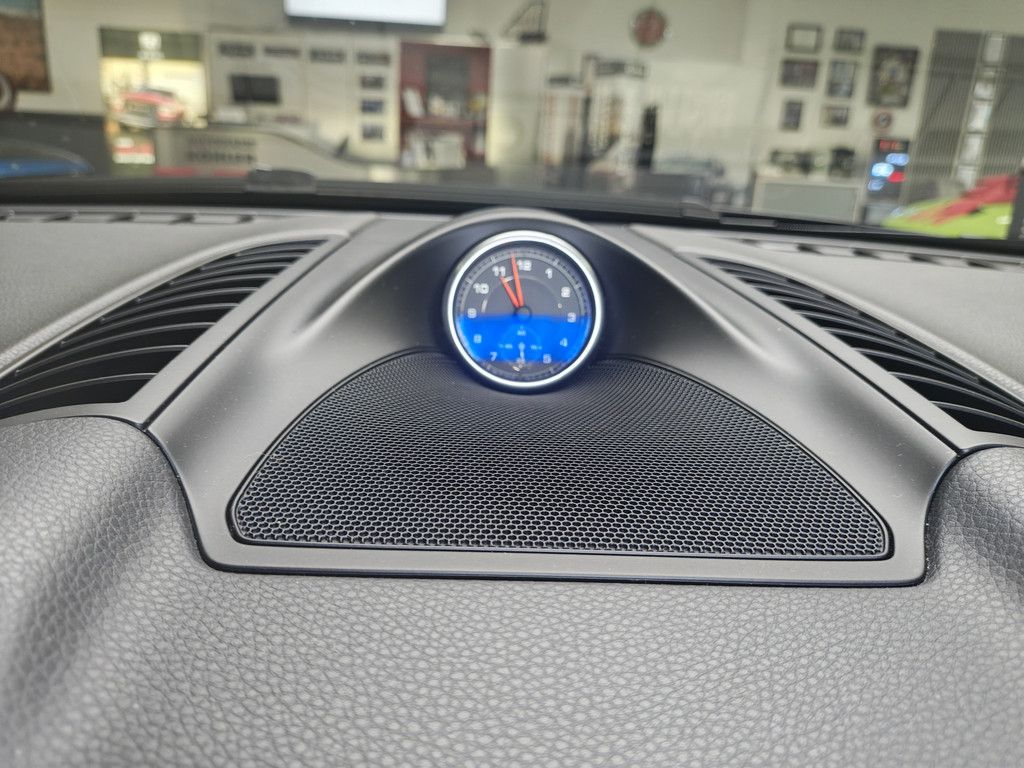 Porsche Cayenne Cayenne 4.2 TDI S Platinum Edition XENON PANO
