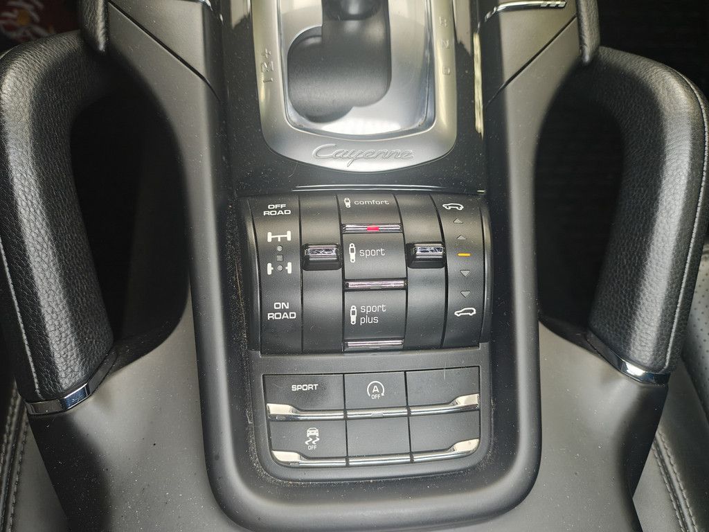 Porsche Cayenne Cayenne 4.2 TDI S Platinum Edition XENON PANO
