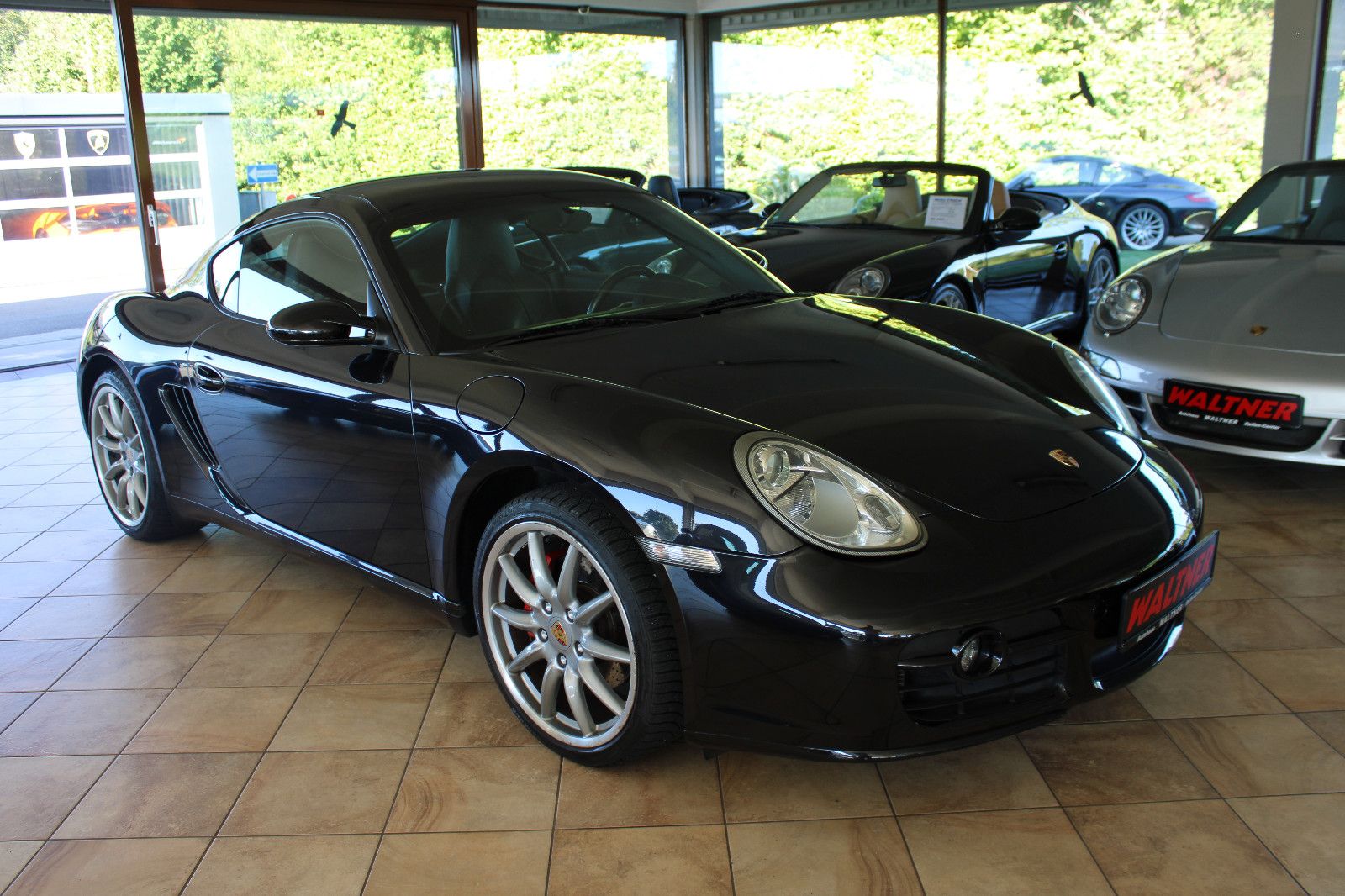Porsche Cayman Cayman S *Bestzustand+Schalter+Navigation*