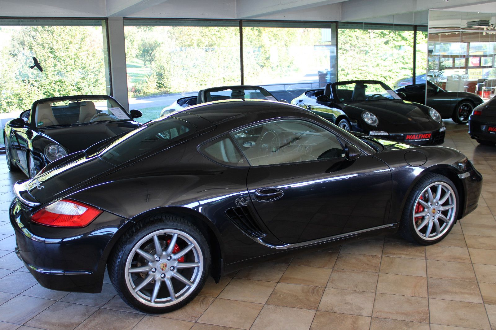 Porsche Cayman Cayman S *Bestzustand+Schalter+Navigation*