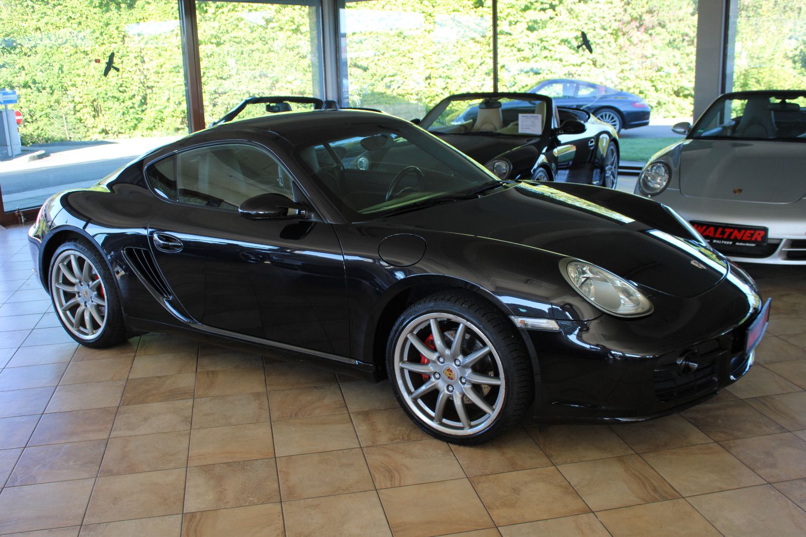 Porsche Cayman Cayman S *Bestzustand+Schalter+Navigation*