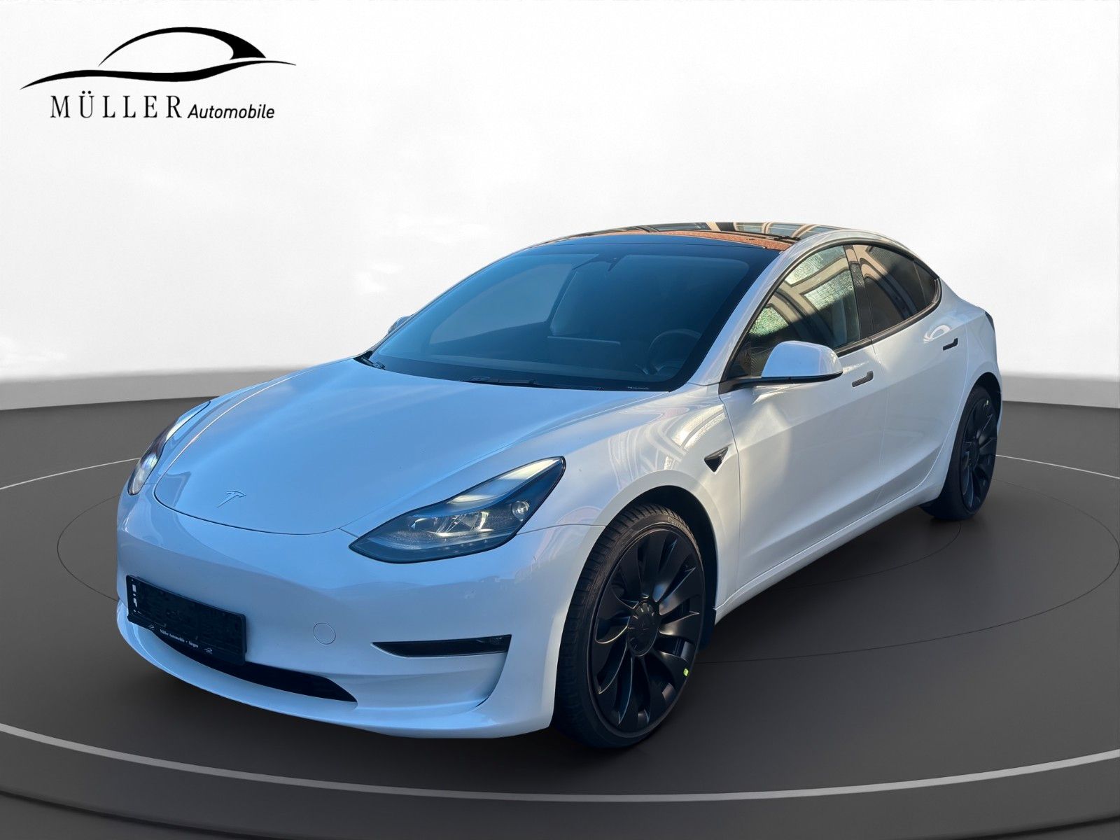 Tesla Model 3 Model 3 Long Range Dual AWD Autopilot