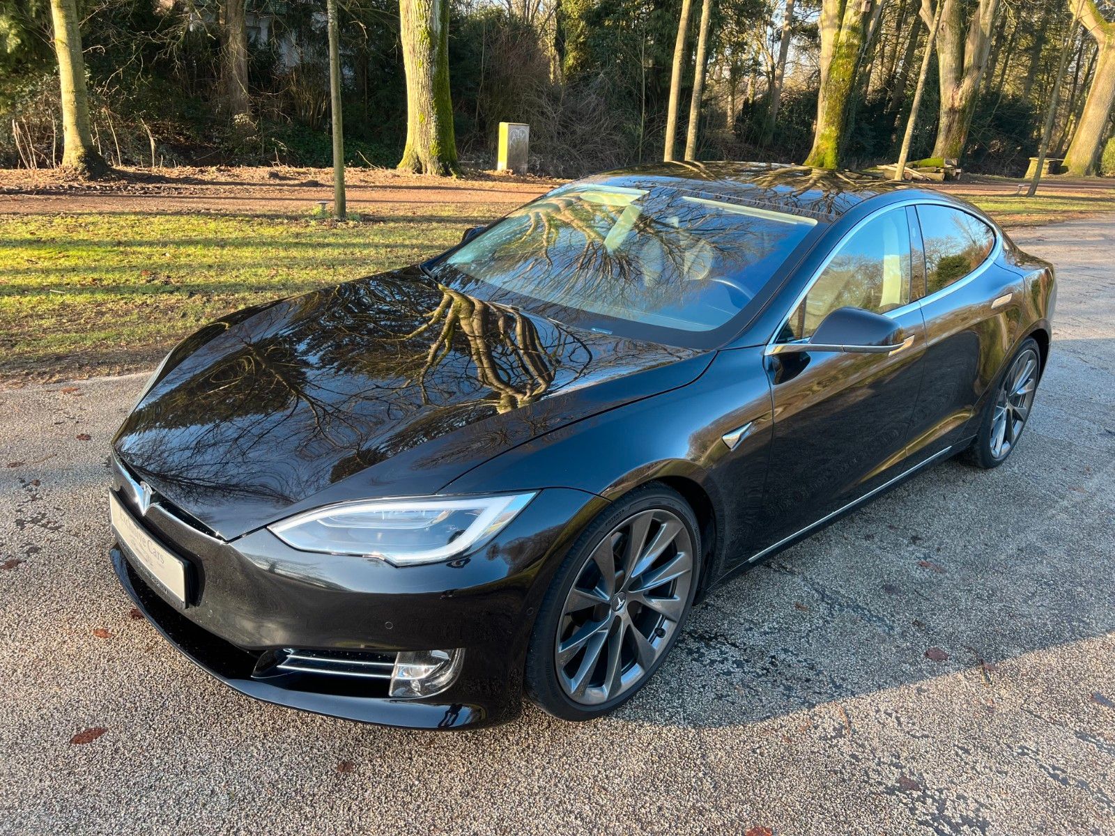 Tesla MODEL S 100D | ENAHNCED AP| MCU2 | 21NCH | CCS |
