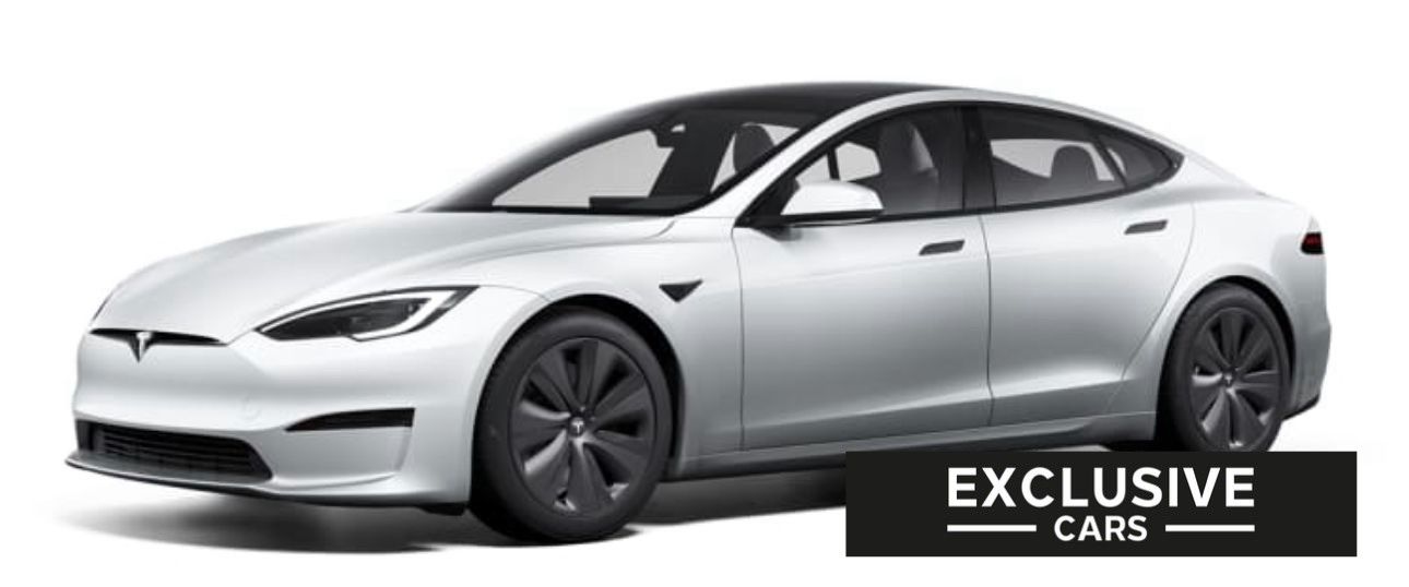 Tesla Model S MODEL S PALLADIUM MAXIMAL RANGE | PEARL | WOOD |