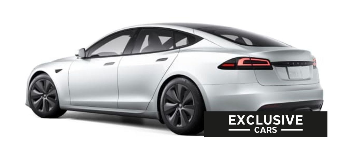 Tesla Model S MODEL S PALLADIUM MAXIMAL RANGE | PEARL | WOOD |