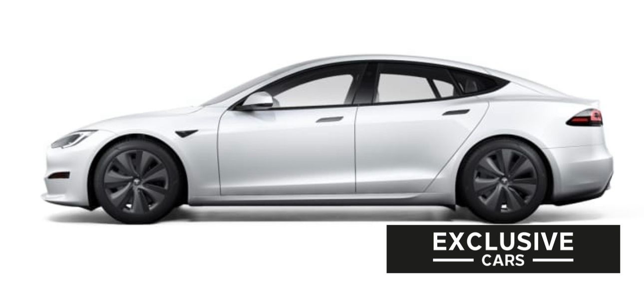 Tesla Model S MODEL S PALLADIUM MAXIMAL RANGE | PEARL | WOOD |