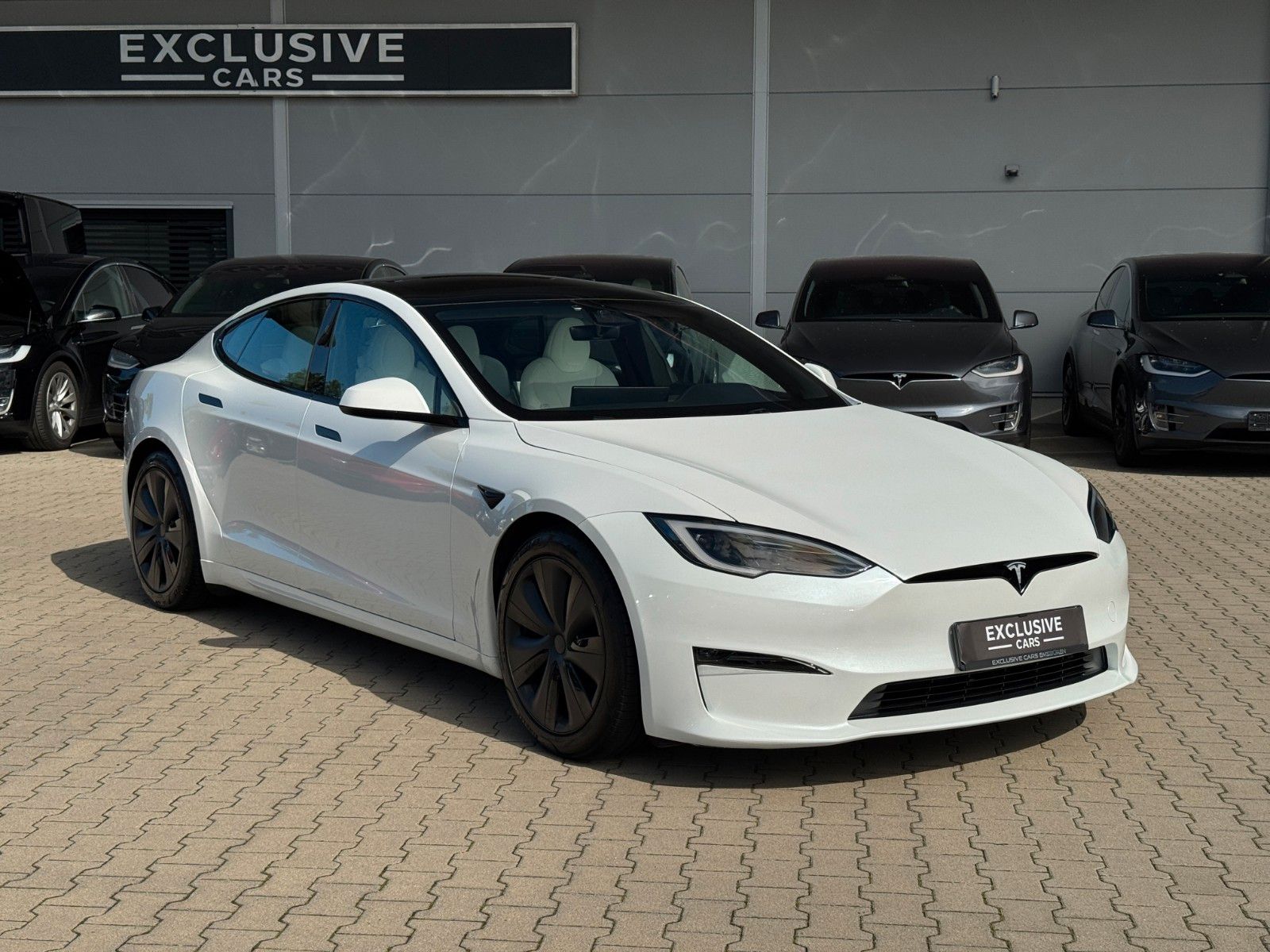 Tesla Model S MODEL S PALLADIUM MAXIMAL RANGE | WOOD | AHK |