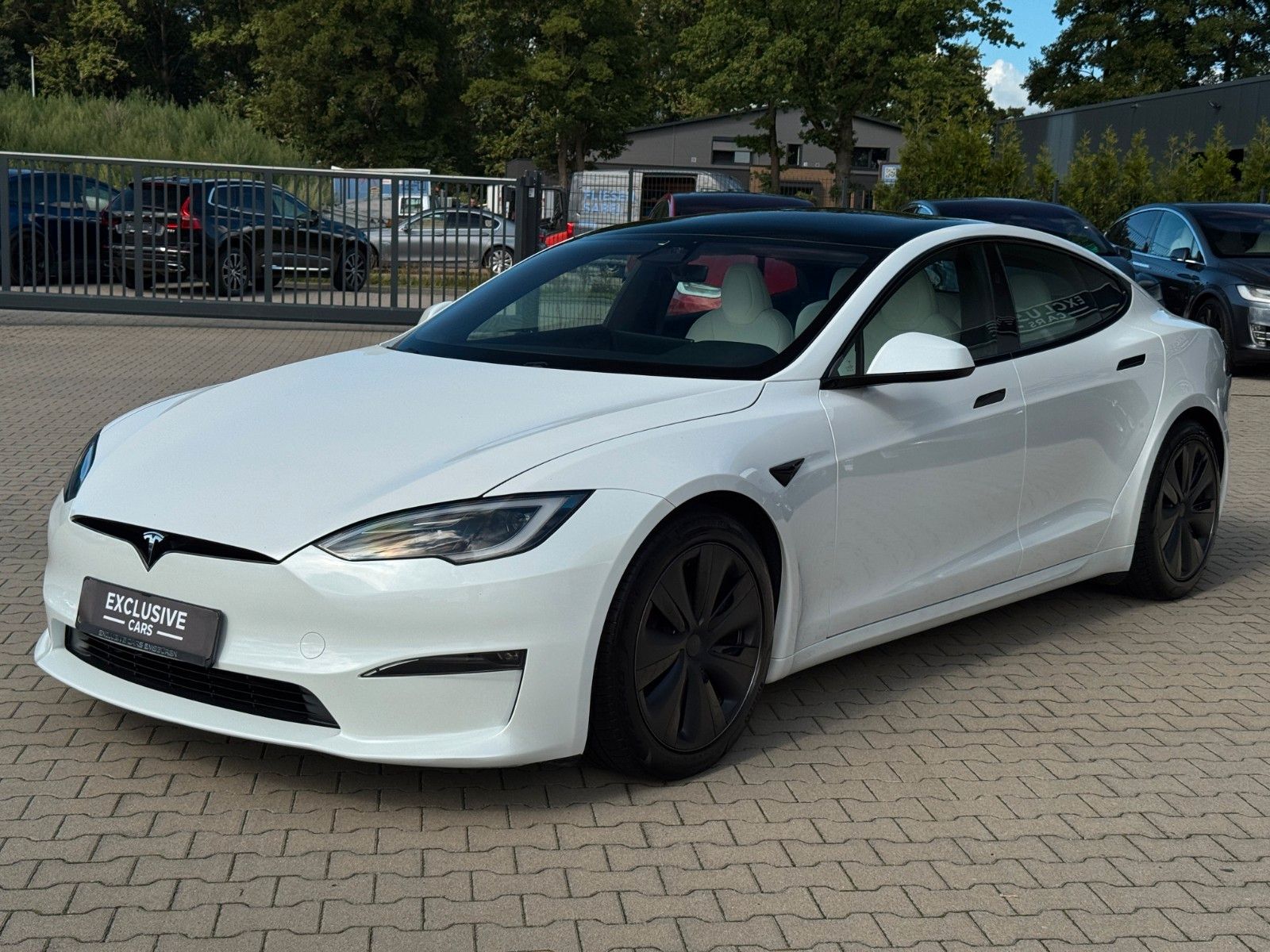 Tesla Model S MODEL S PALLADIUM MAXIMAL RANGE | WOOD | AHK |