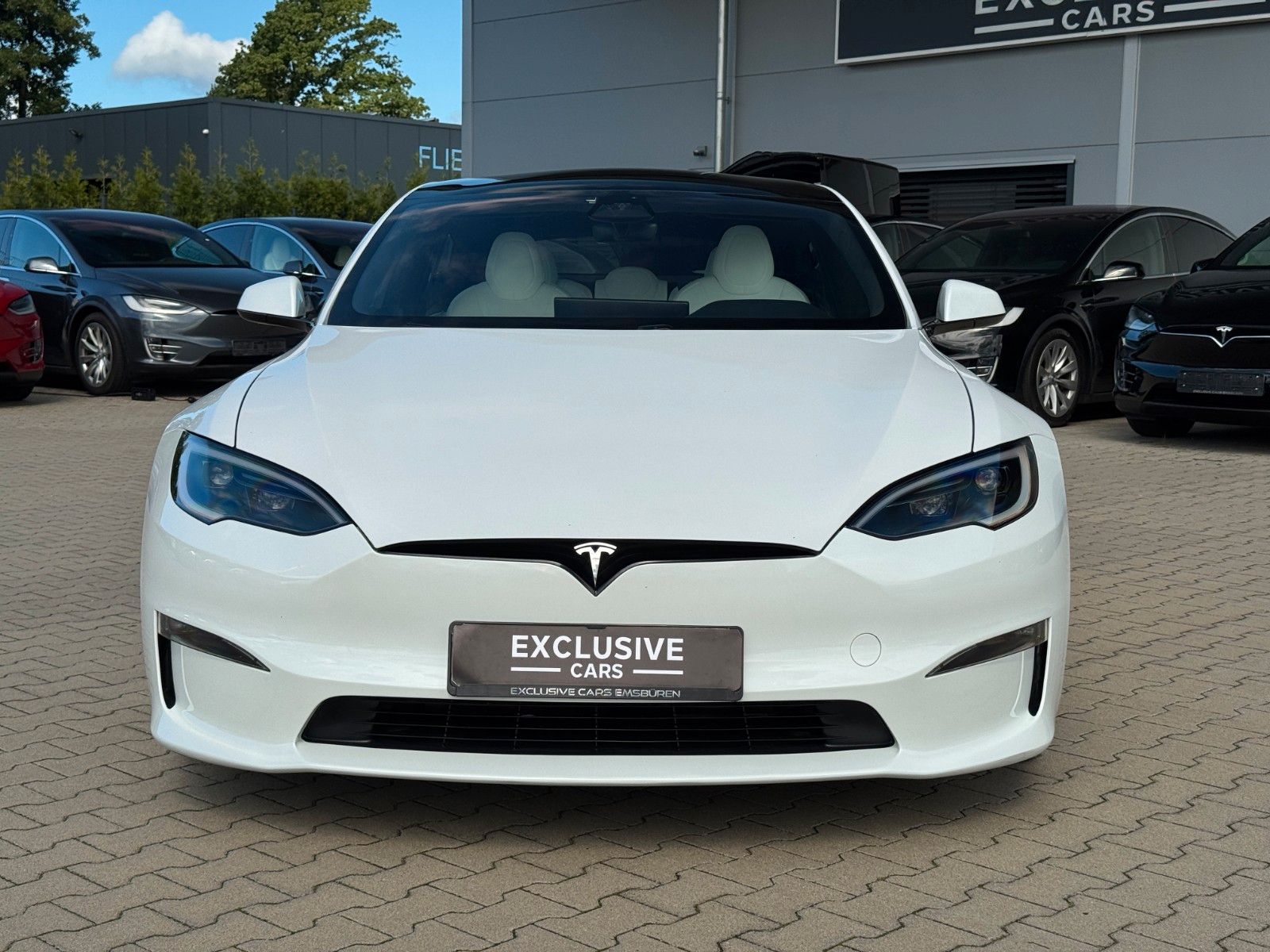 Tesla Model S MODEL S PALLADIUM MAXIMAL RANGE | WOOD | AHK |