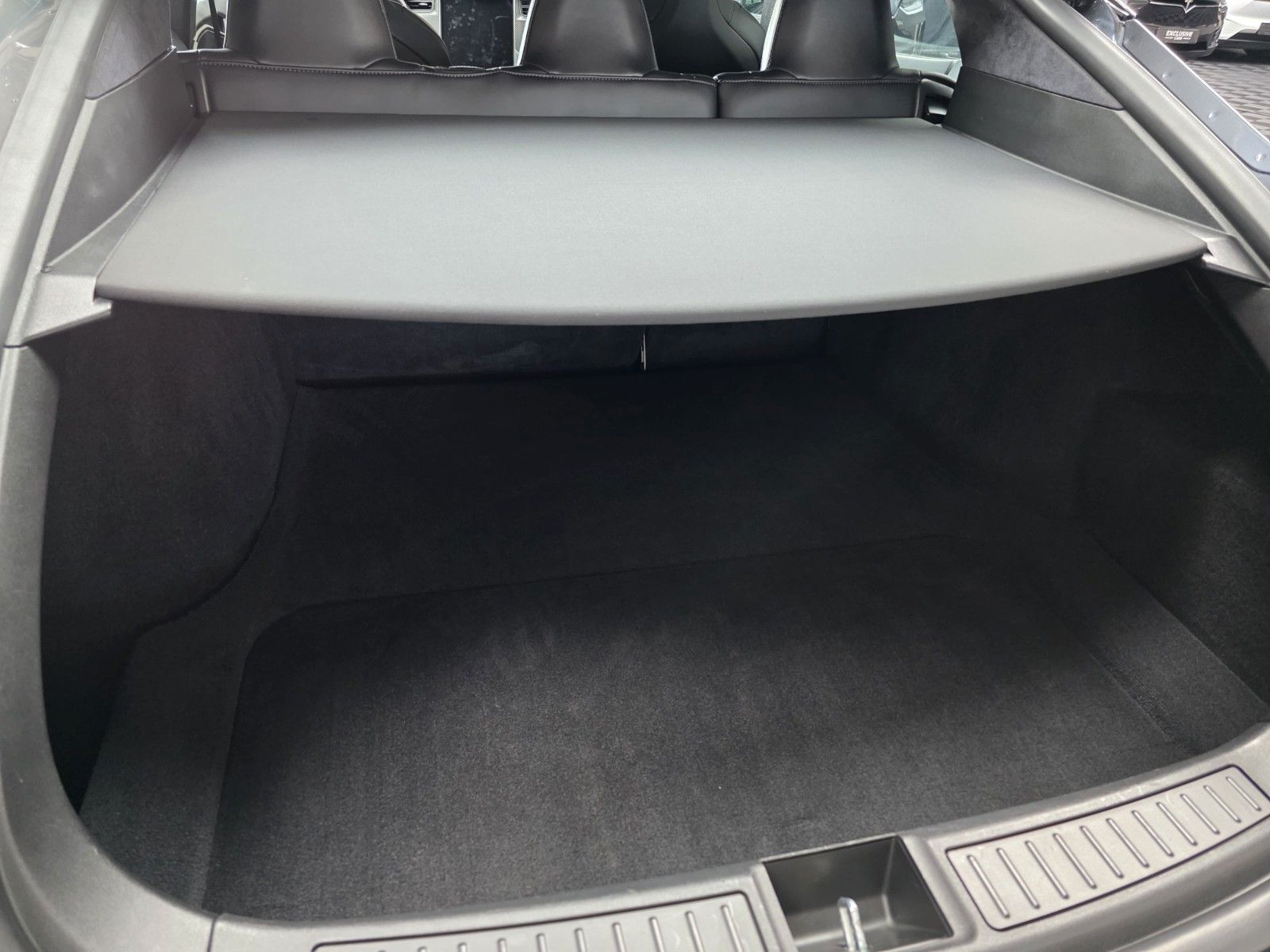 Tesla Model S MODEL S RAVEN PERFORMANCE | AP 3.0 | CARBON |