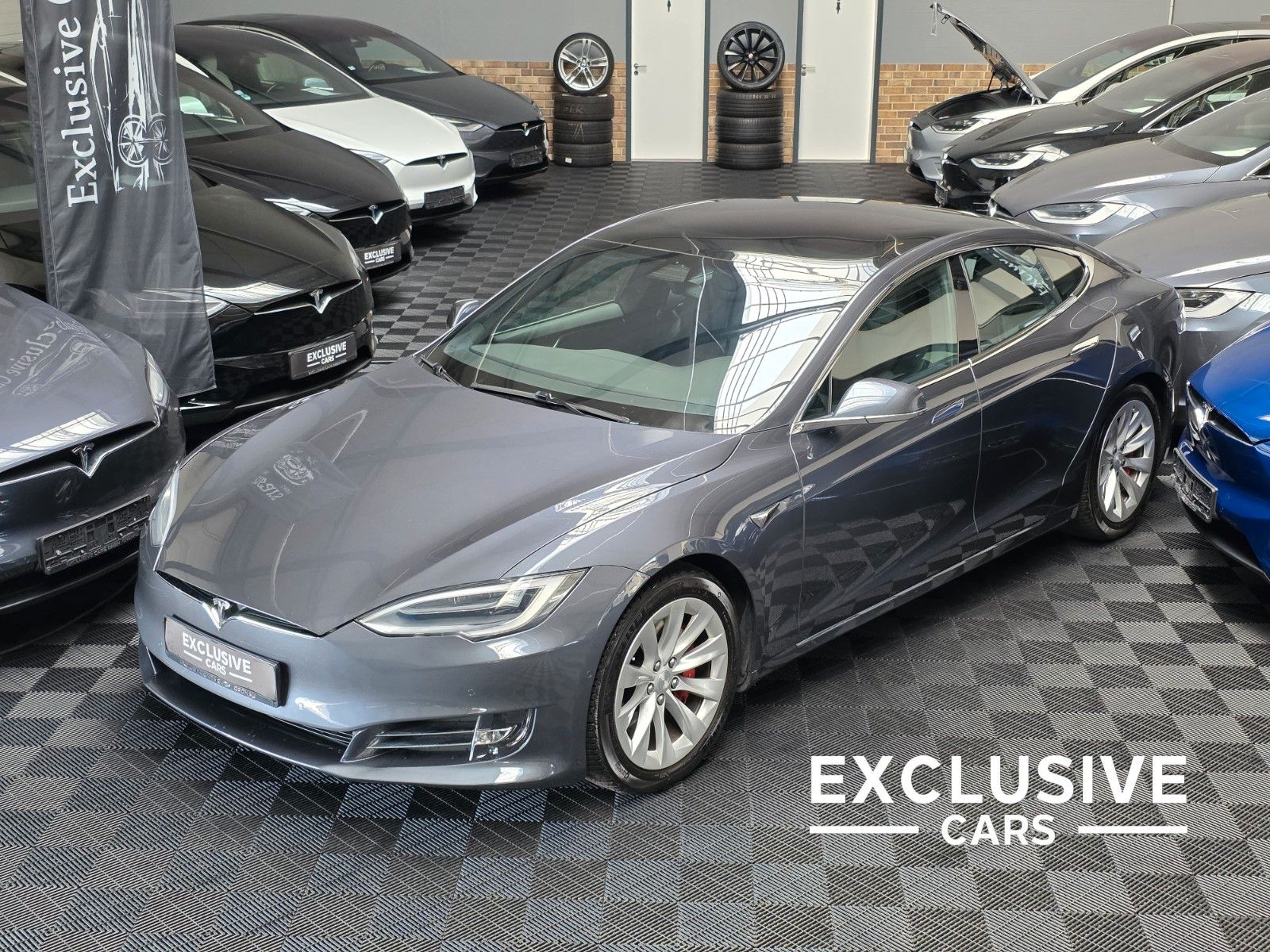 Tesla Model S MODEL S RAVEN PERFORMANCE | AP 3.0 | CARBON |