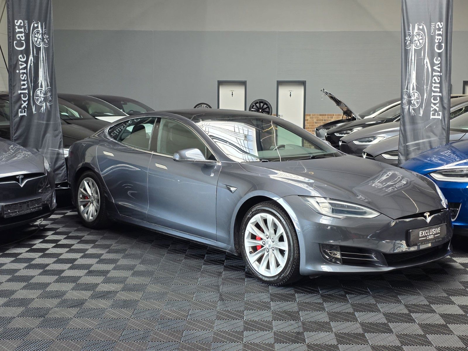 Tesla Model S MODEL S RAVEN PERFORMANCE | AP 3.0 | CARBON |