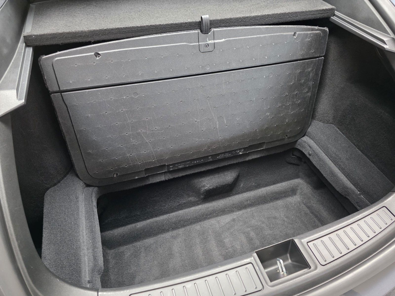 Tesla Model S MODEL S RAVEN PERFORMANCE | AP 3.0 | CARBON |