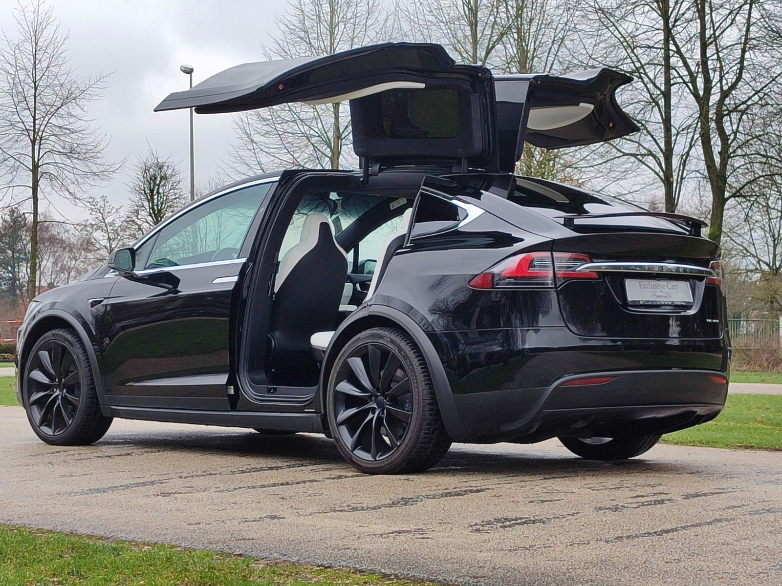 Tesla MODEL X LR RAVEN | FULL SELF DRIVE |7SEATER|22&quot;