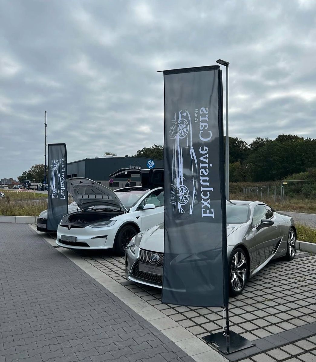 Tesla Model X MODEL X P100D PERFORMANCE|FREE SUPER CHARGE| FSD