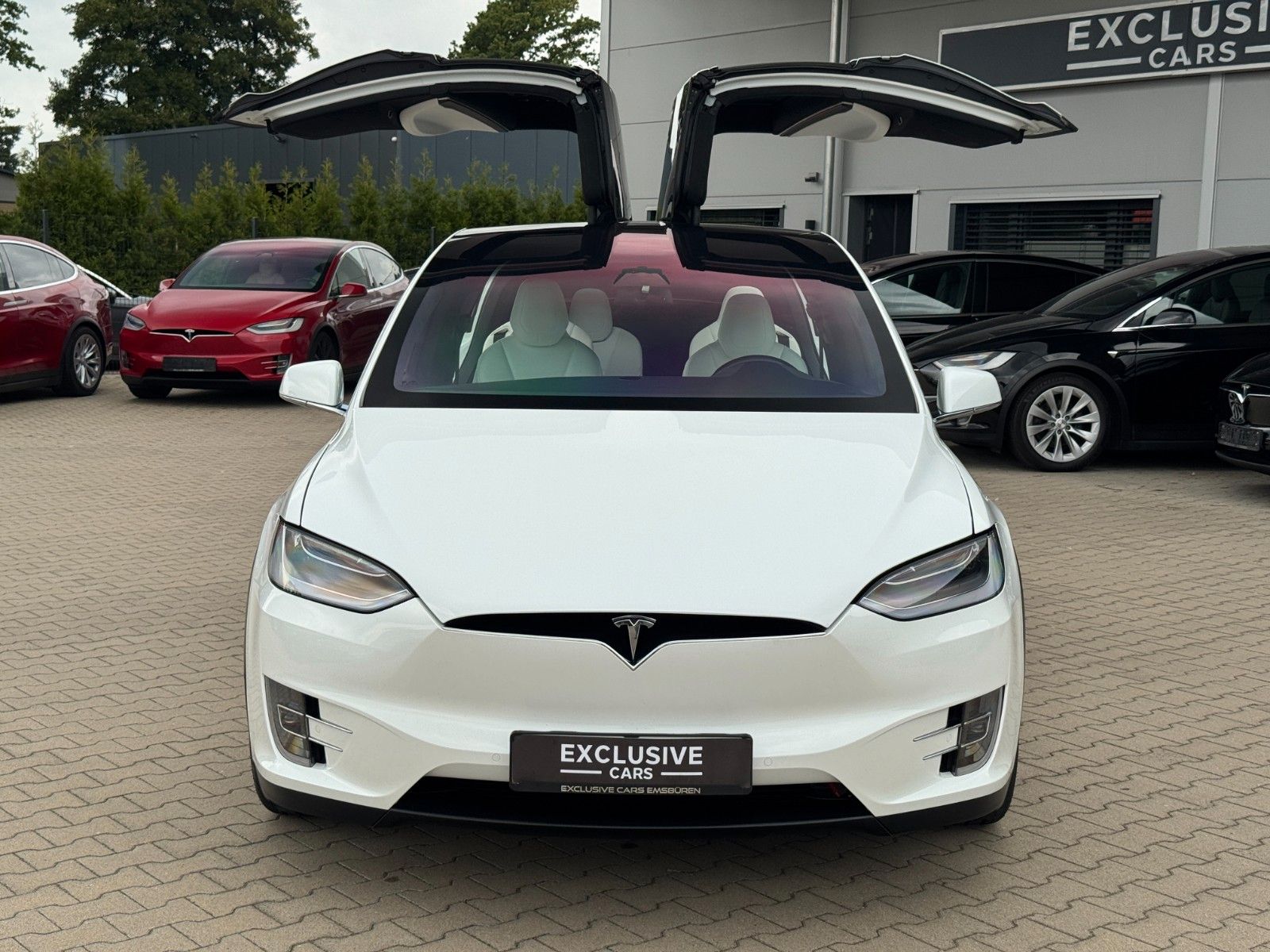 Tesla Model X MODEL X P100D PERFORMANCE|FREE SUPER CHARGE| FSD
